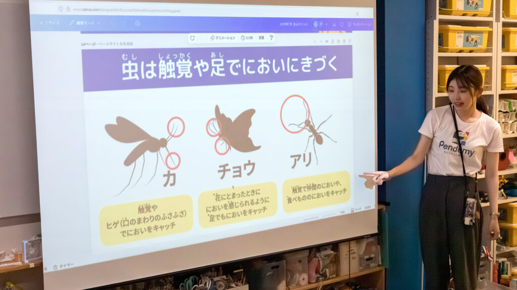 虫はにおいをどう感じる？触覚や足のしくみを学ぶ小学生向け科学ワークショップの講義風景