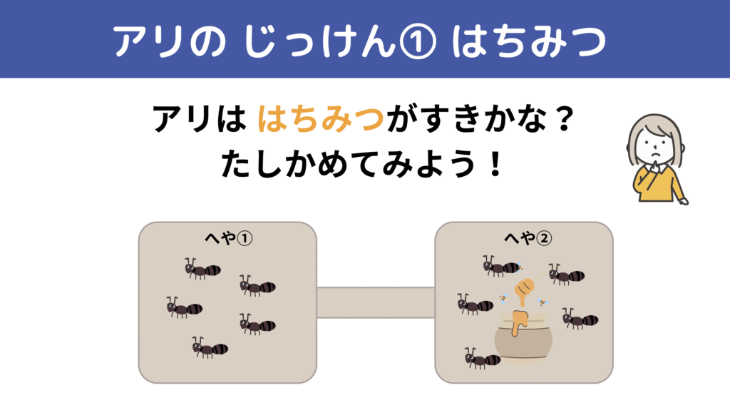 アリははちみつが好き？行動で確かめるにおい実験イラスト｜小学生向け科学ワークショップ教材