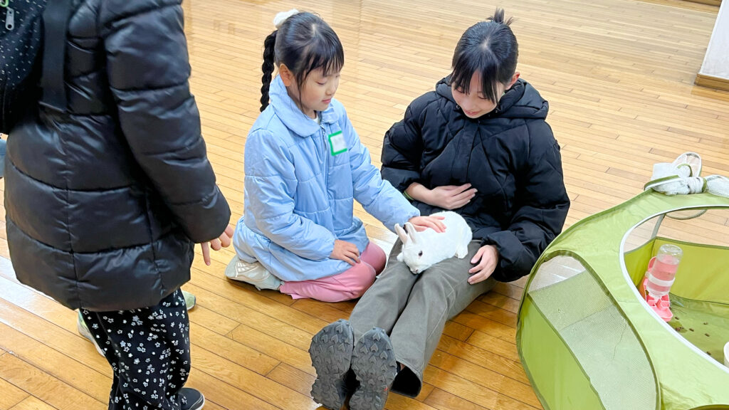 うさぎにやさしく触れながら観察する体験。生きものを近くで感じる学びの時間。