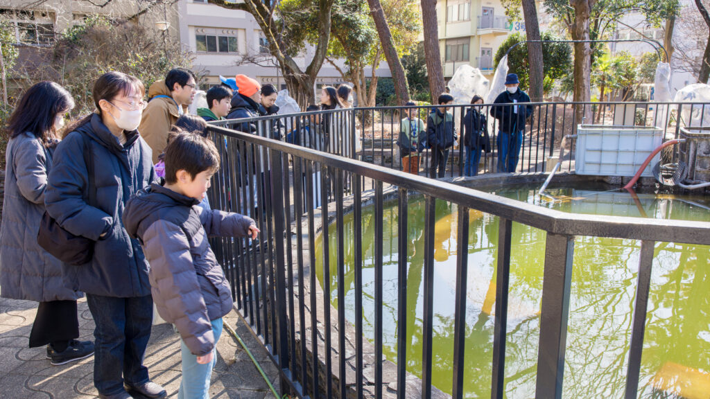 プランクトンがいる池の前で、子どもたちが水面を観察している様子